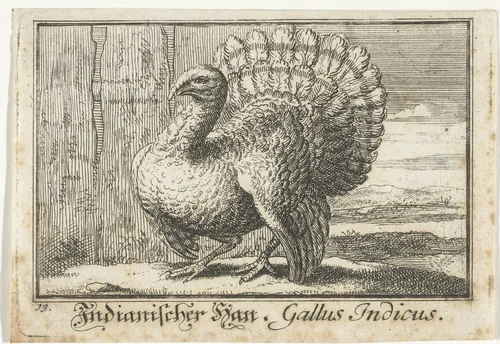 Landschap met kalkoen by anonymous, print, 1659-1741