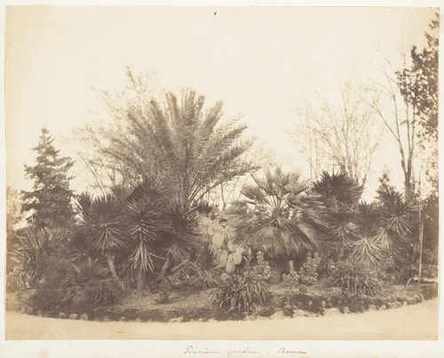 Pincian Garden, Rome by Jane Martha St. John, photograph, 1853-1856