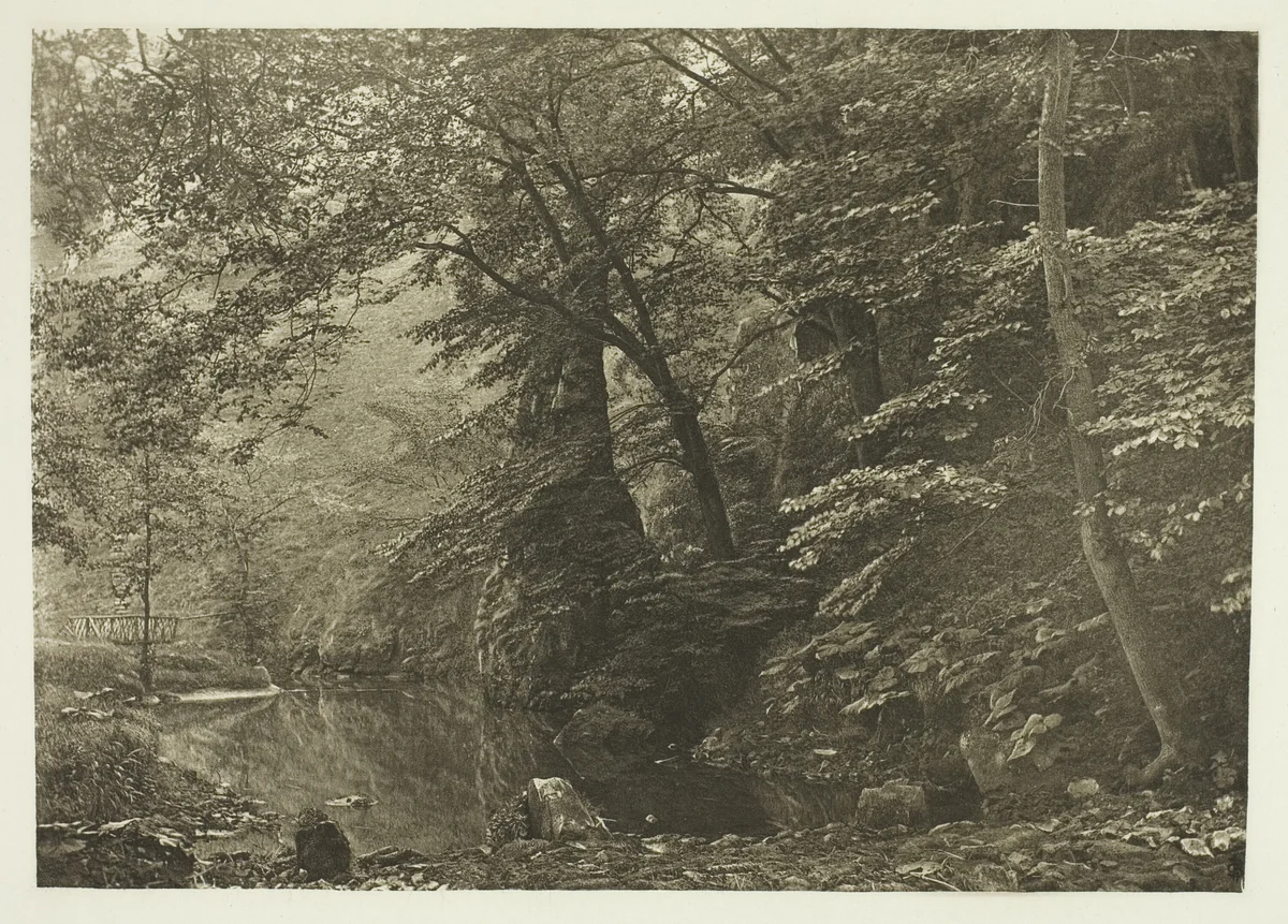 "Pike Pool" (from below) by Peter Henry Emerson, print, 1880-1888