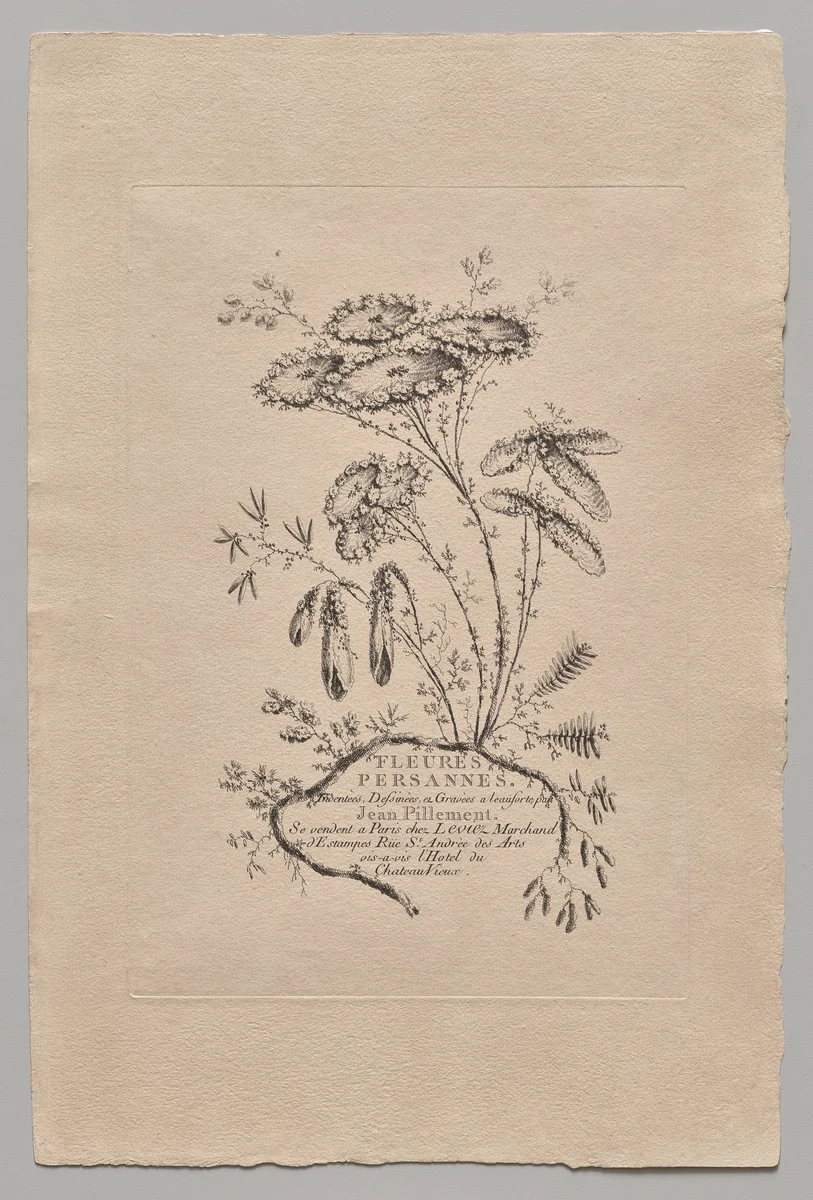 Persian Flowers by Jean Baptiste Pillement, print, 1755