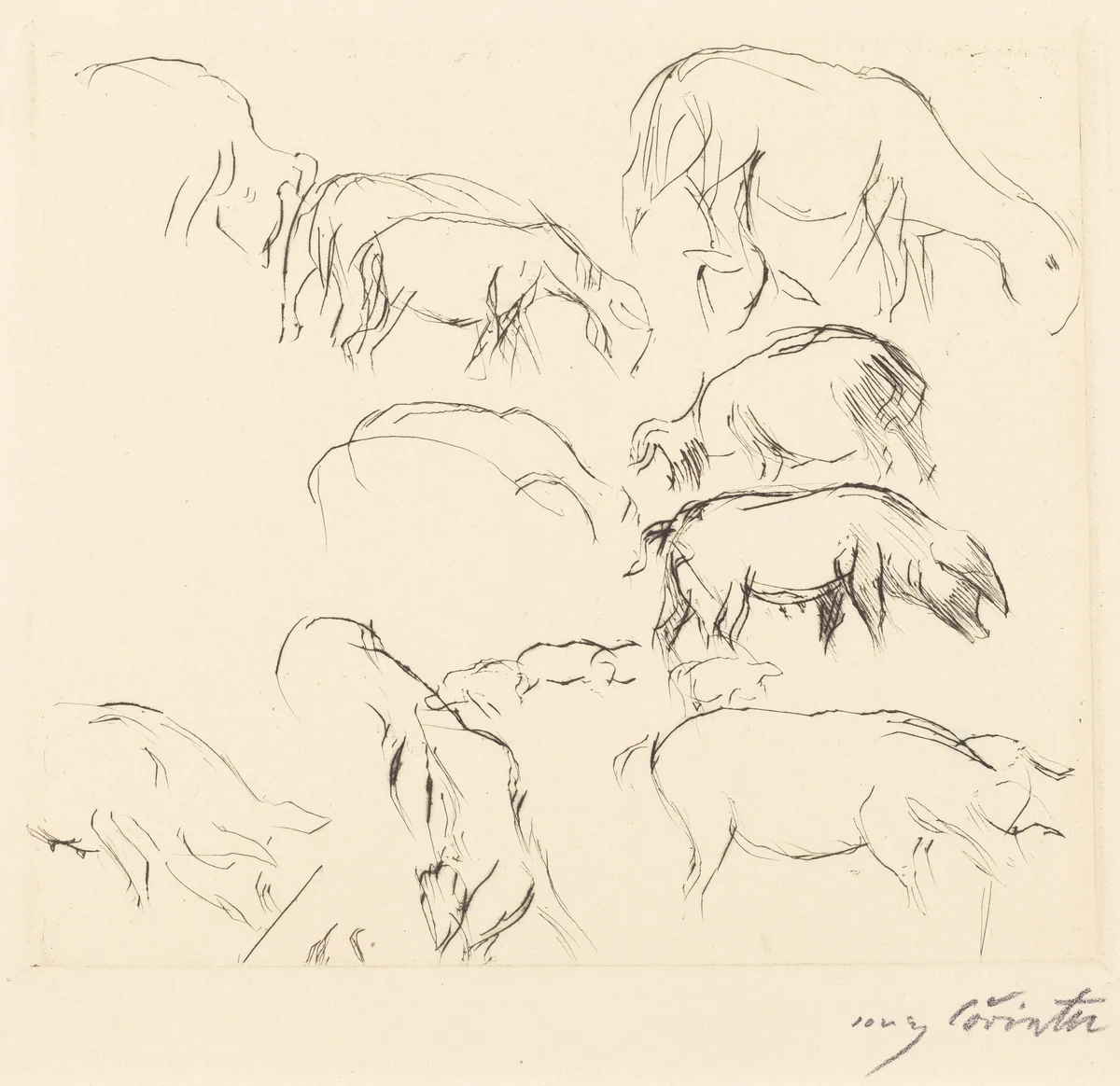 Verschiedene Tierstudien (Animal Studies) by Lovis Corinth, print, 1917