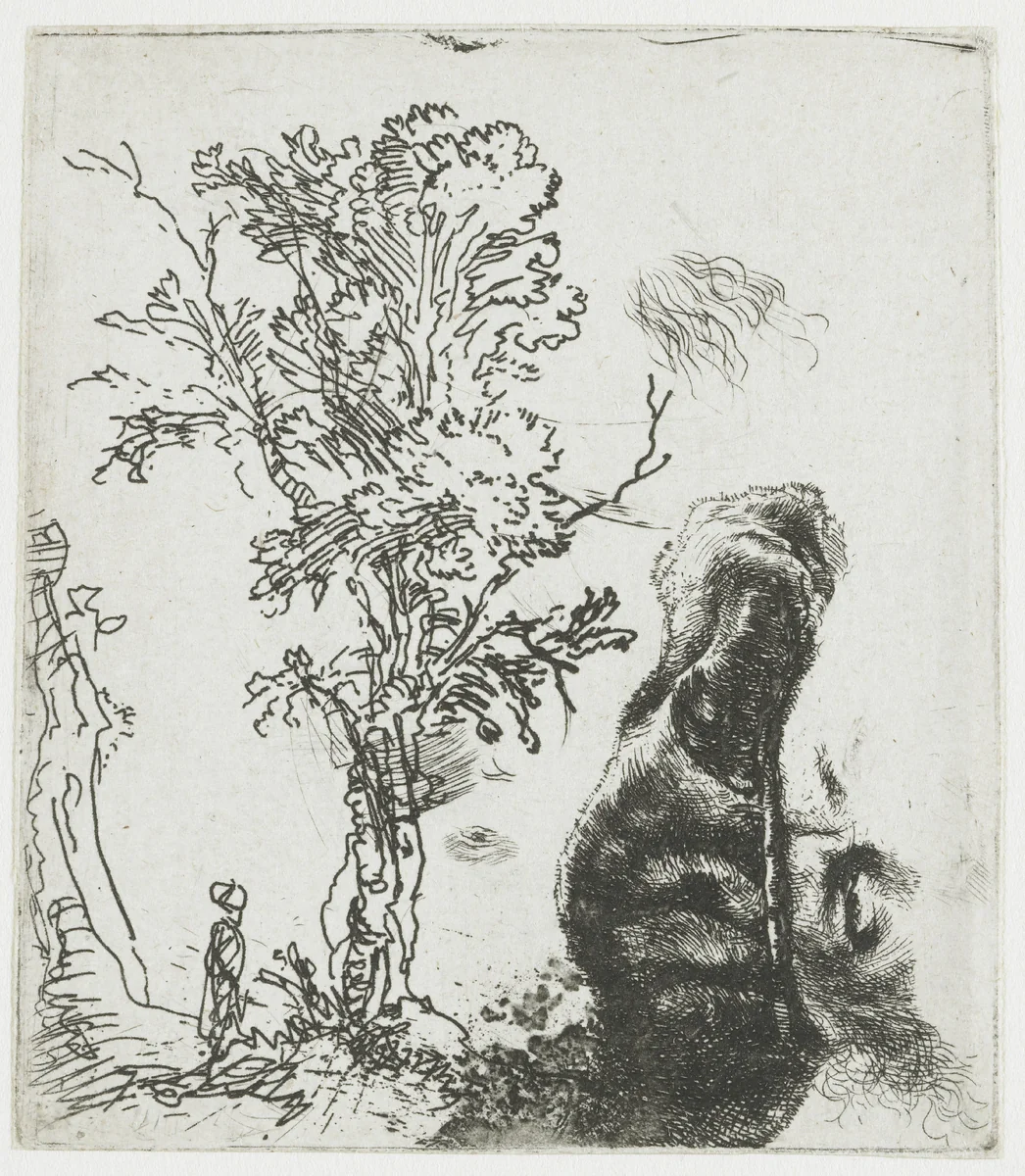 Sheet of Studies with a Tree and the Upper Part of Rembrandt’s Head in a Velvet Cap by Rembrandt van Rijn, print, 1644