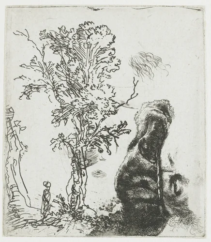 Sheet of Studies with a Tree and the Upper Part of Rembrandt’s Head in a Velvet Cap by Rembrandt van Rijn, print, 1644
