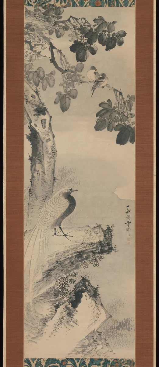 Pheasant beneath Paulownia Tree by Saien Hōsai, painting, 1736-1795
