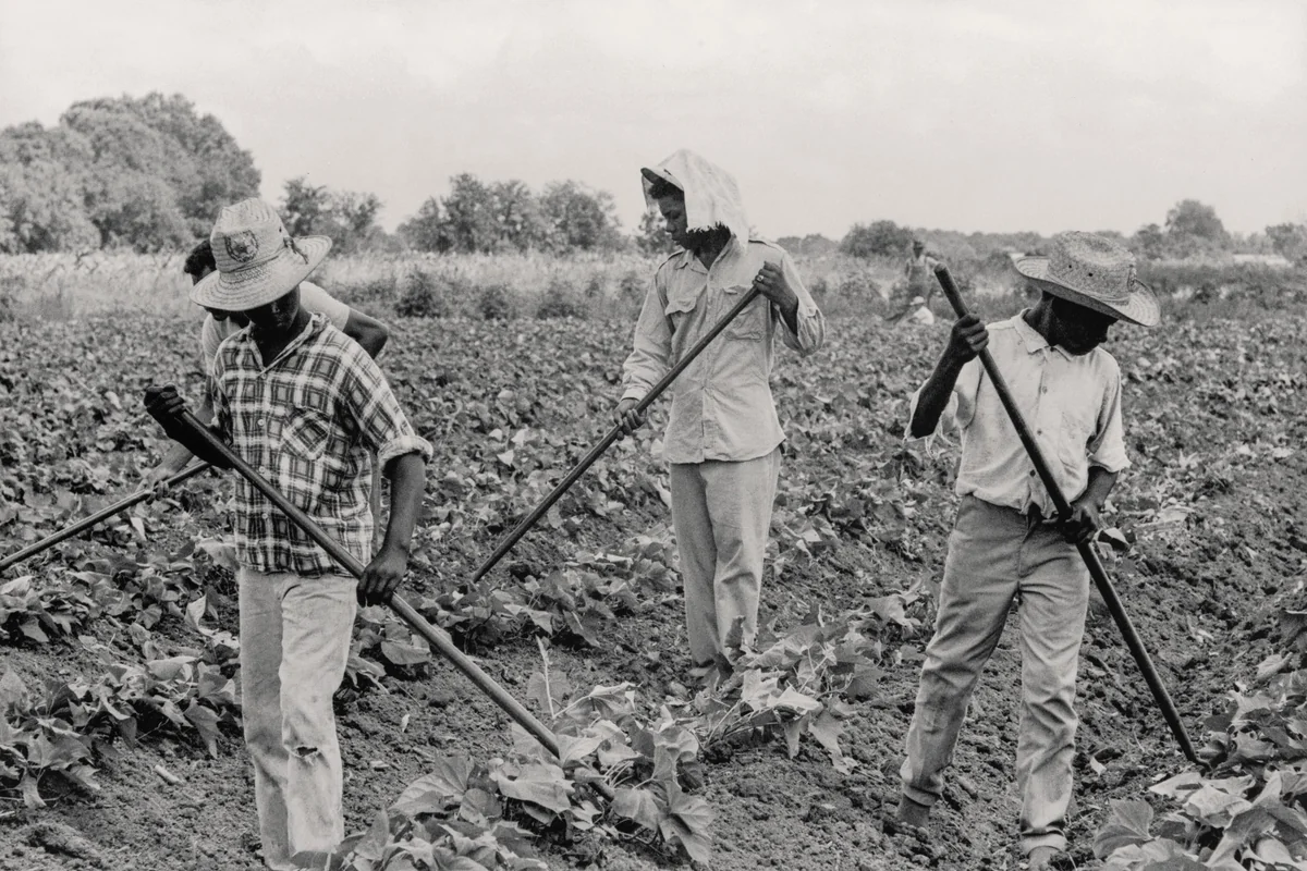 Grand Marie Farmers' Cooperative, Lafayette, Louisiana by Doris A. Derby, photograph, 1969