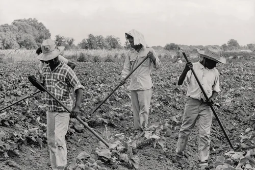 Grand Marie Farmers' Cooperative, Lafayette, Louisiana by Doris A. Derby, photograph, 1969