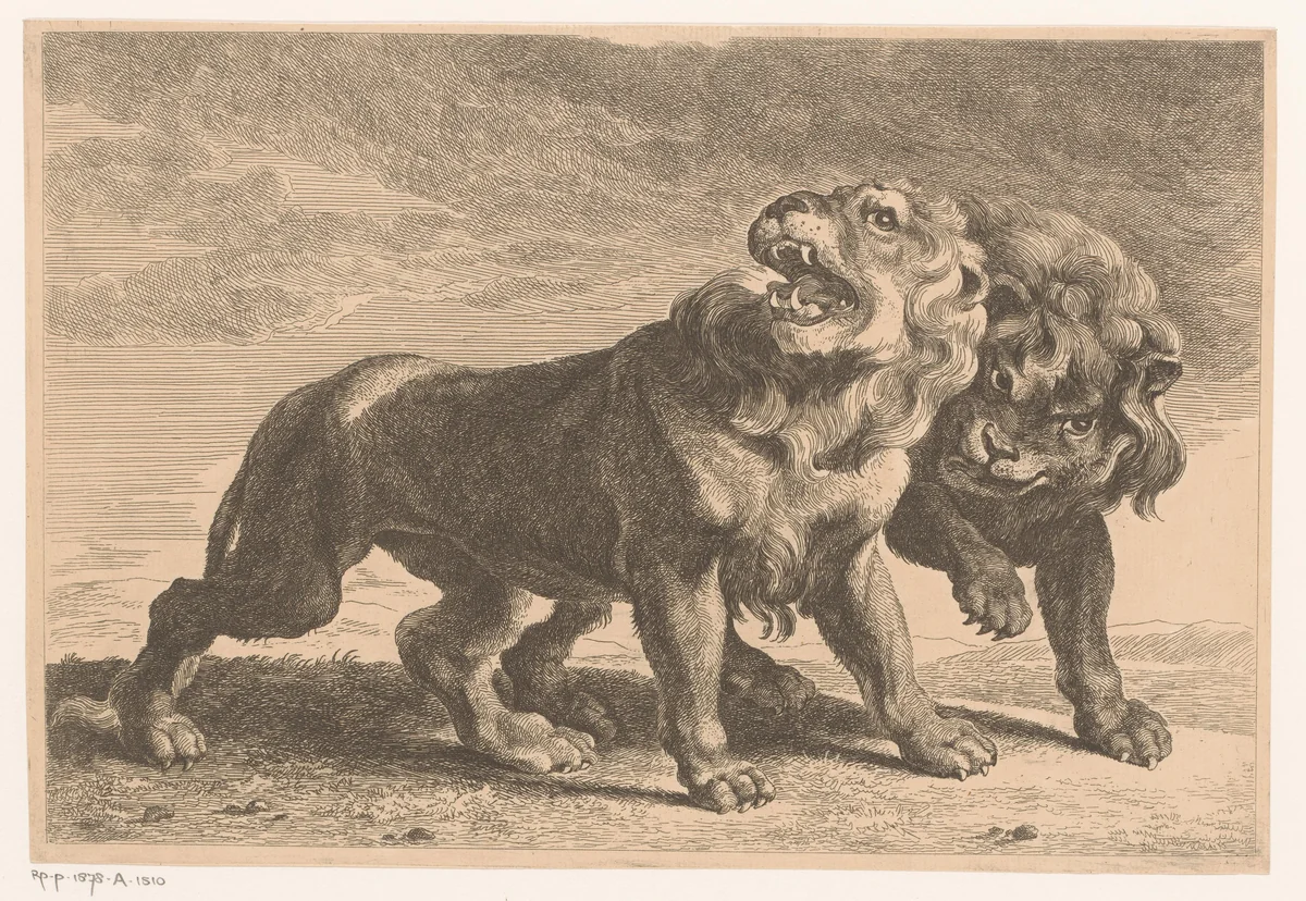 Twee leeuwen by Jean Baptiste de Roy, print, 1769-1839