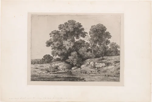 Poel aan de voet van een groep bomen by Jean Alexis Achard, print, 1850