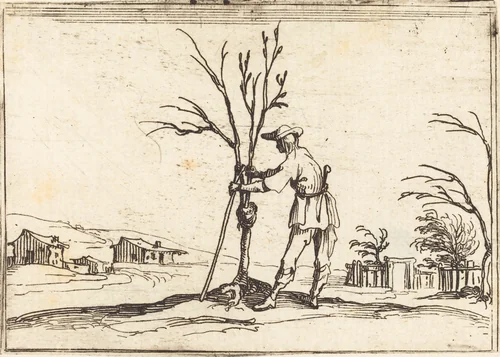Gardener Pruning a Tree by Jacques Callot, print, 1628