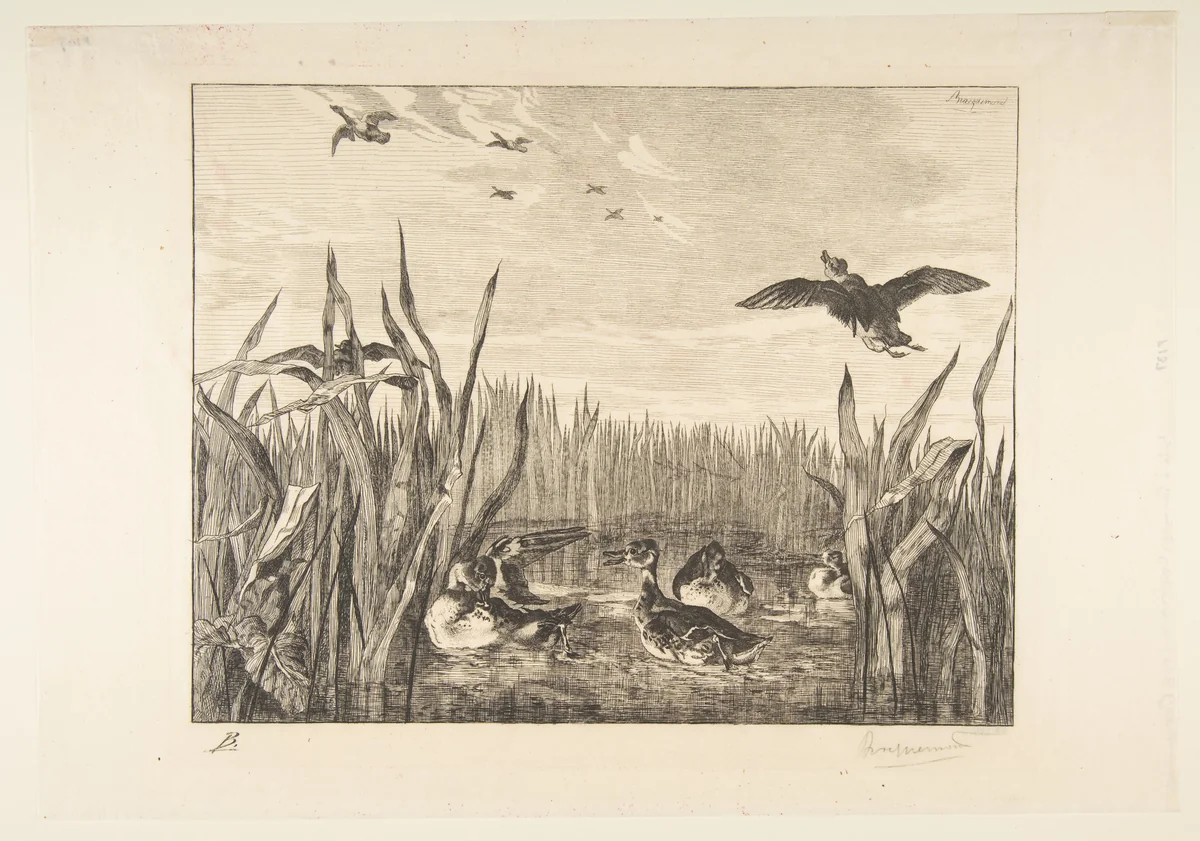 Sarcelles by Félix Bracquemond, print, 1853