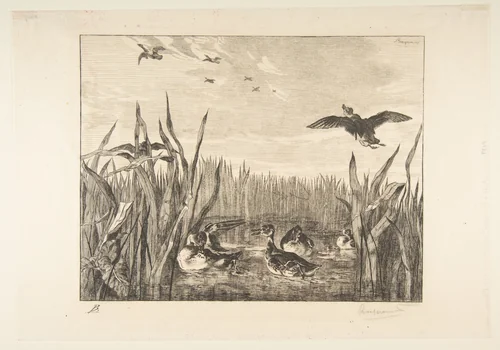 Sarcelles by Félix Bracquemond, print, 1853