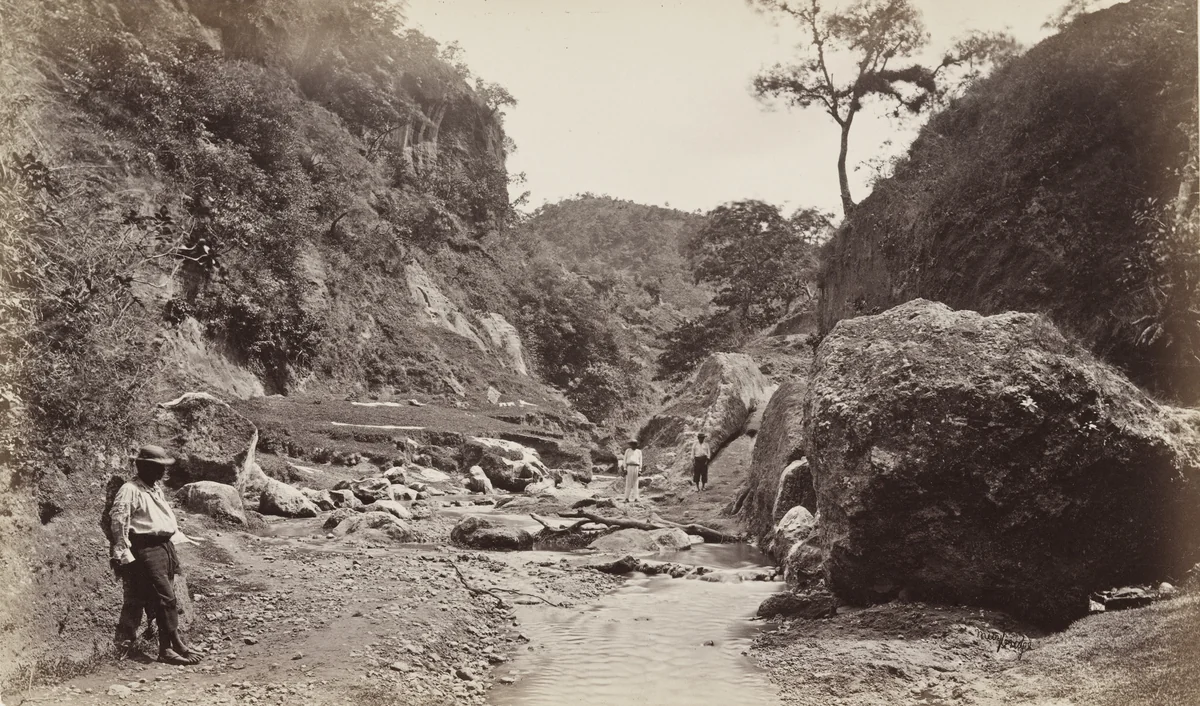 Baranca of Ynsiensi, Guatemala by Eadweard Muybridge, photograph, 1875