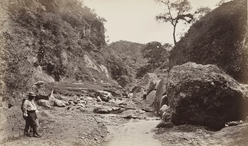 Baranca of Ynsiensi, Guatemala by Eadweard Muybridge, photograph, 1875