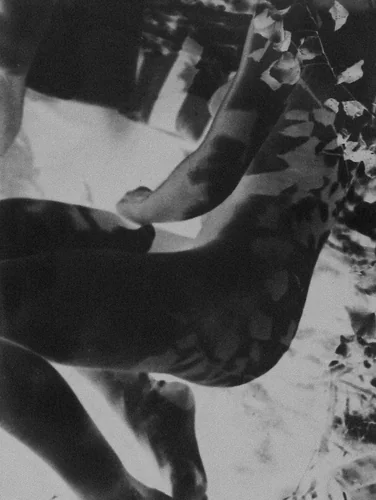 Nude by László Moholy-Nagy, photograph, 1929