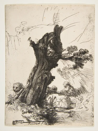 St. Jerome beside a Pollard Willow by Rembrandt van Rijn, print, 1648