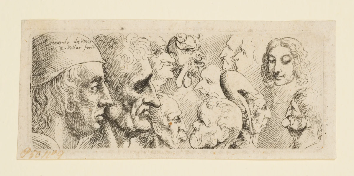 Twelve Heads by Wenceslaus Hollar, print, 1645