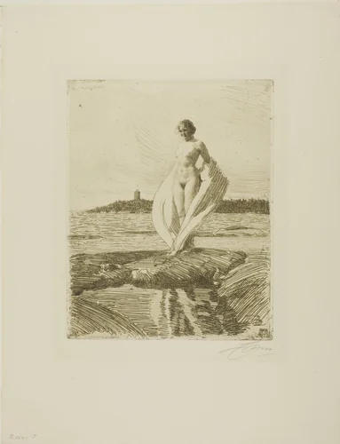 The Swan by Anders Zorn, print, 1915