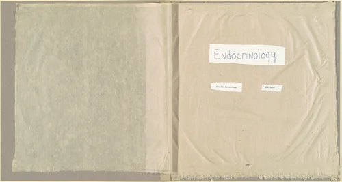 Endocrinology by Kiki Smith, volume, 1997