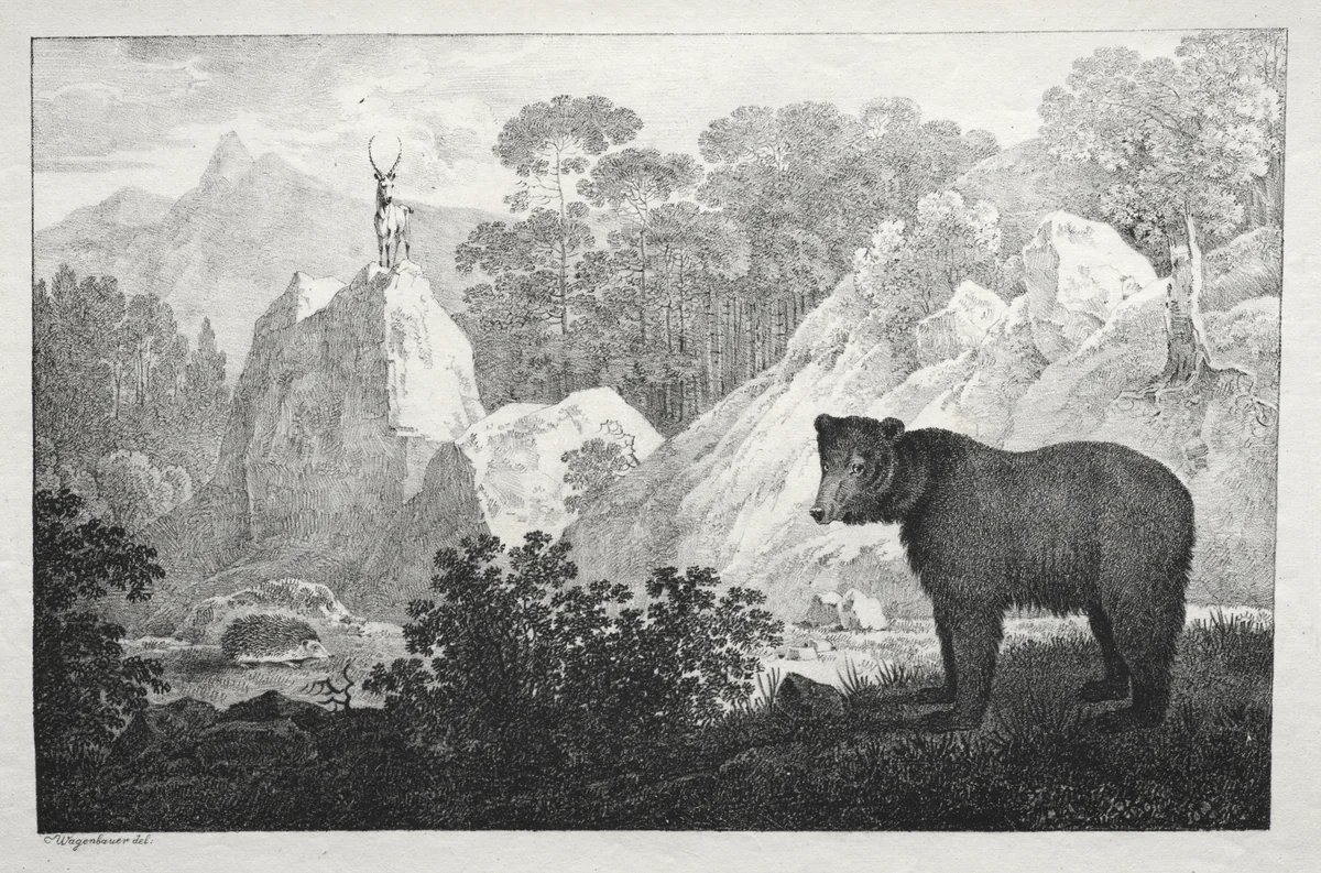 Mountainous Landscape with Bear in the Foreground by Maximilian Josef Wagenbauer, print
