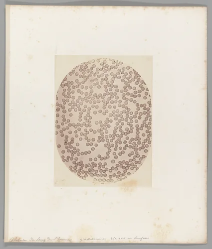 Globules du sang del’homme grossissement 250,000 en Surface [Human Blood Cells] by Auguste-Adolphe Bertsch, photograph, 1853-1857