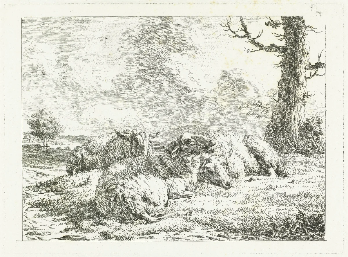 Drie schapen liggend bij kale boom by Frédéric Théodore Faber, print, 1817-1828