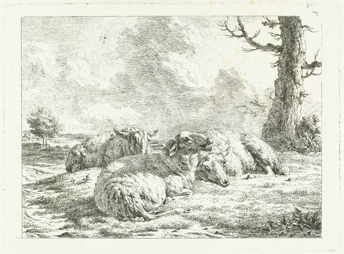 Drie schapen liggend bij kale boom by Frédéric Théodore Faber, print, 1817-1828