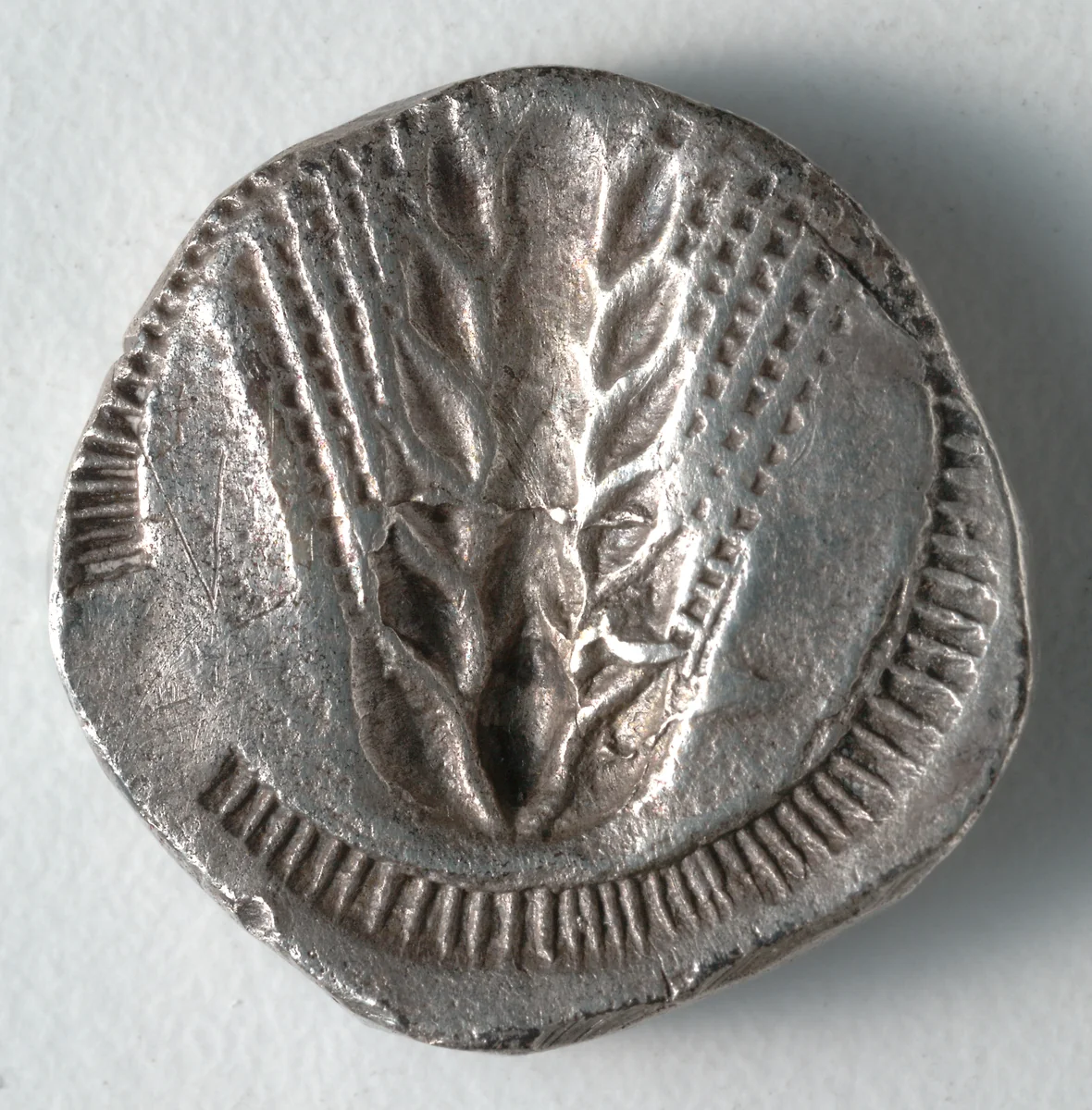 Stater: Barley, Incuse (reverse) by Unknown, metalwork, -535--505