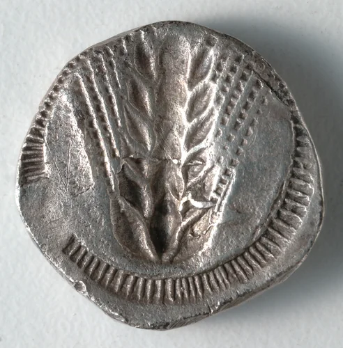 Stater: Barley, Incuse (reverse) by Unknown, metalwork, -535--505
