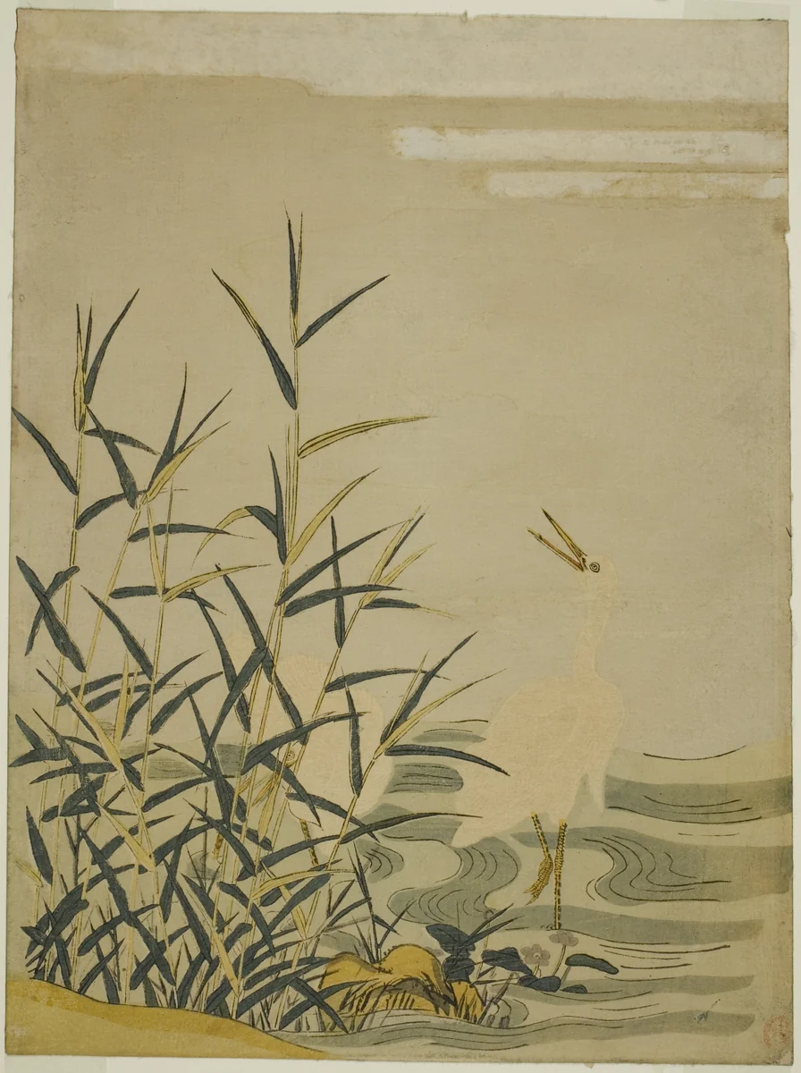 Egrets in the Reeds by Isoda Koryusai, print, 1769-1779