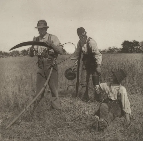 In the Barley Harvest by Peter Henry Emerson, photograph, 1888
