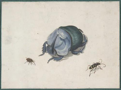 Studies of a Blue Beetle and Insects by Pieter Holsteyn, drawing, 1630-1700