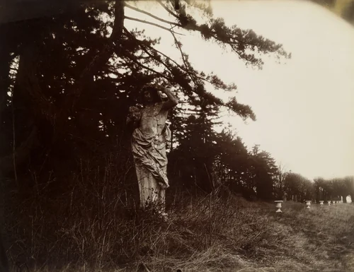 Sceaux by Eugène Atget, photograph, 1925