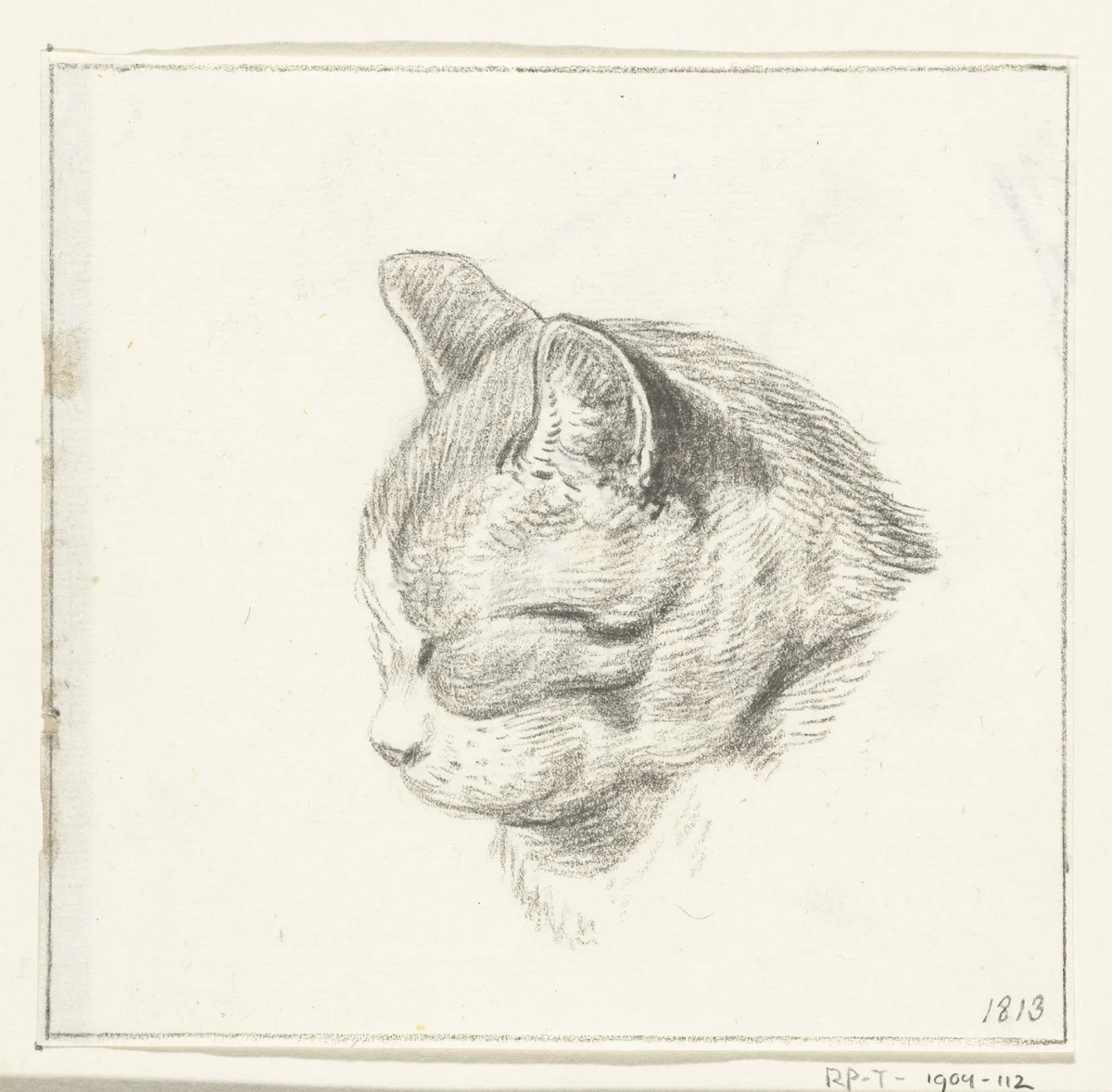 Kop van een kat, naar links by Jean Bernard, drawing, 1813