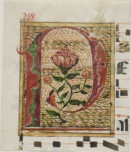 Decorated Initial "P" with Flowers from a Manuscript by European, painting, 1300-1500