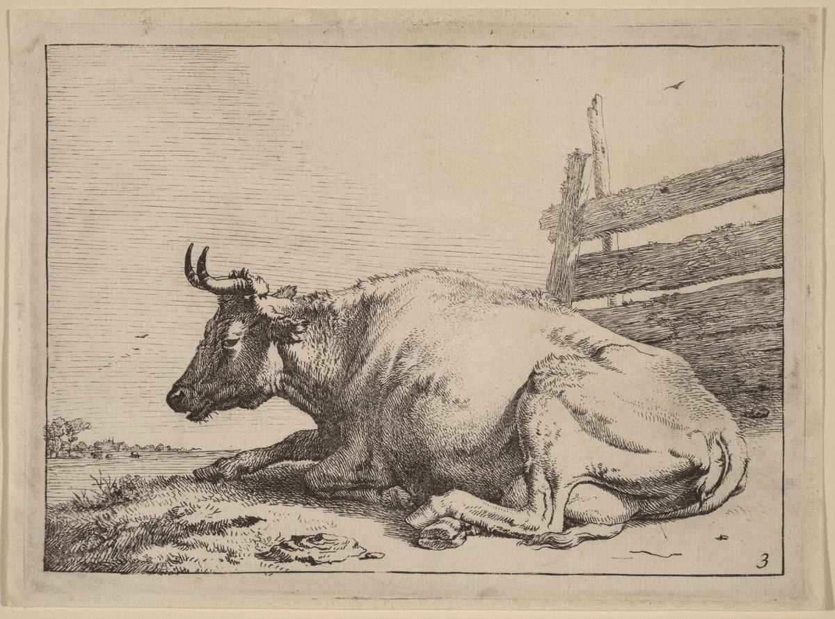 Cow Lying Down near a Fence by Paulus Potter, print, 1650