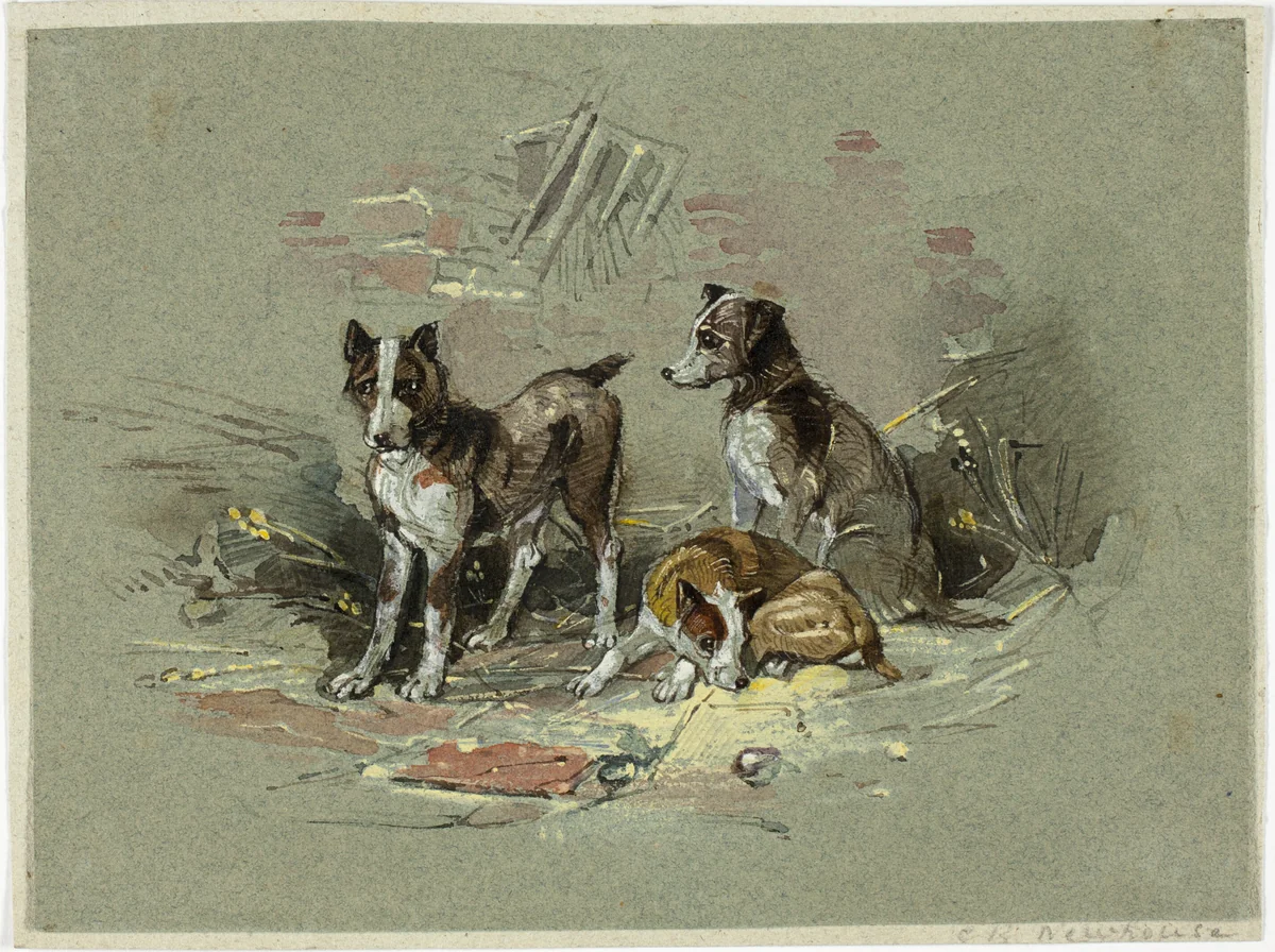 Three Dogs in an Alley by Charles B. Newhouse, painting, 1825-1877
