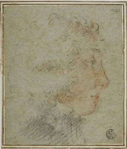 Profile of Young Man to Right by Carlo Dolci, drawing, 1600-1699