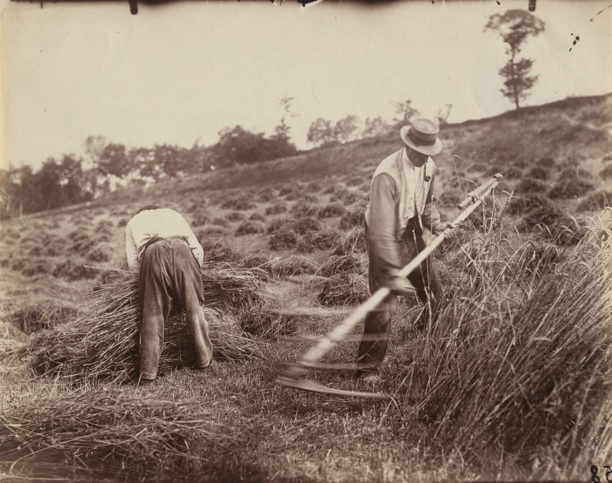 Faucheur (Somme) by Eugène Atget, photograph, 1900