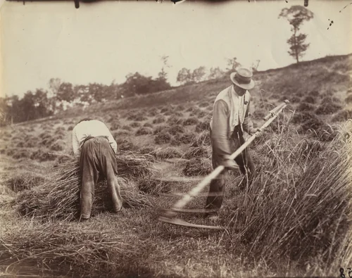 Faucheur (Somme) by Eugène Atget, photograph, 1900