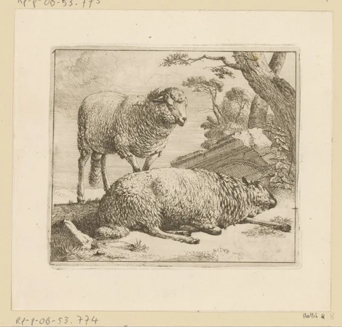 Liggend en staand schaap by Johann Heinrich Roos, print, 1671