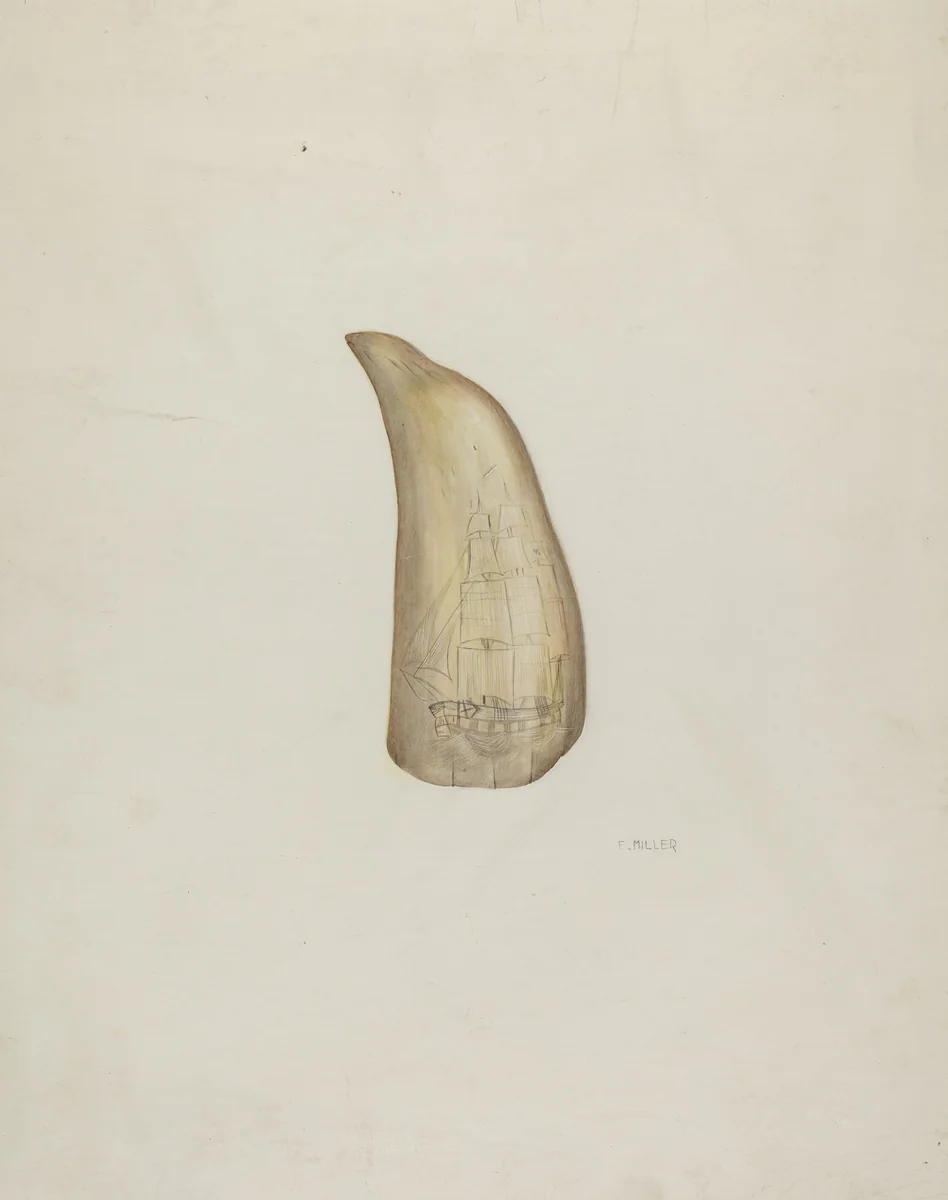Scrimshaw by Edith Miller, index of american design, 1937