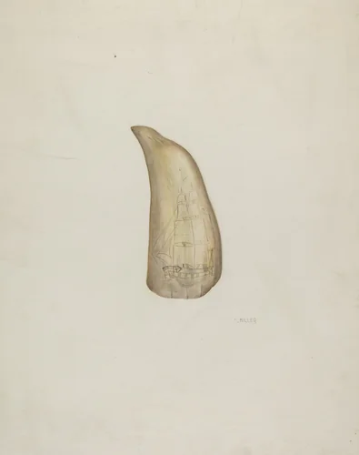 Scrimshaw by Edith Miller, index of american design, 1937