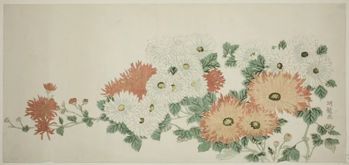 Chrysanthemums by Isoda Koryusai, print, 1775-1785