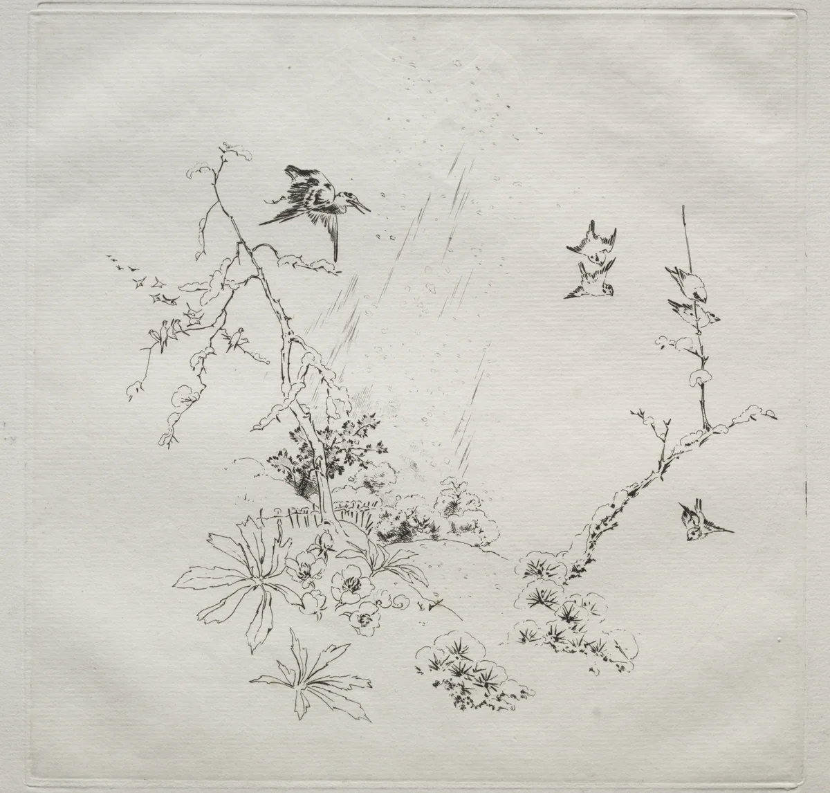 Parisian Service (Haviland service): Snow (no. 6) by Félix Bracquemond, print, 1875