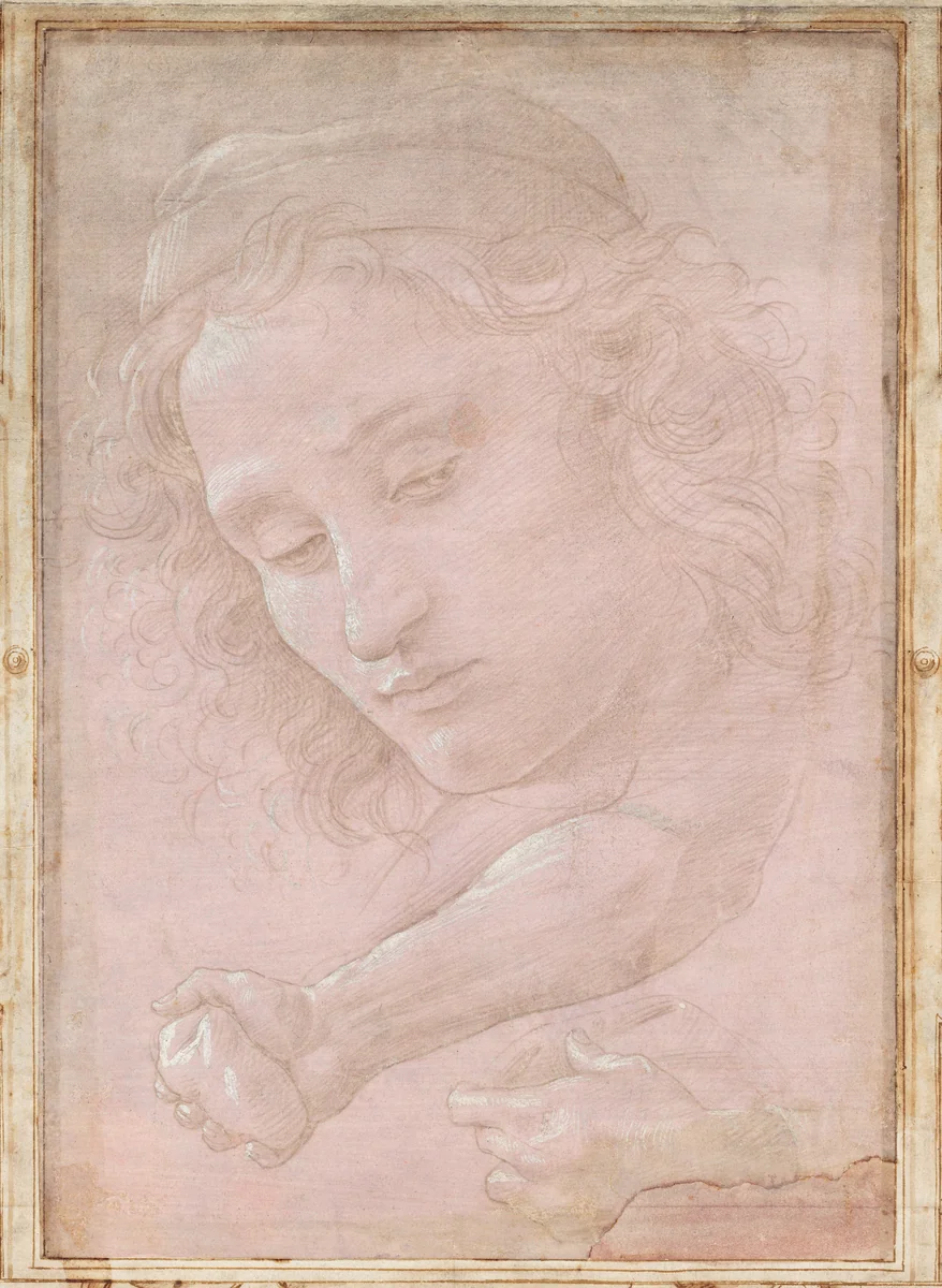 Head of a Youth Wearing a Cap; a Right Forearm with the Hand Clutching a Stone; and a Left Hand Holding a Drapery by Sandro Botticelli, drawing, 1480-1485