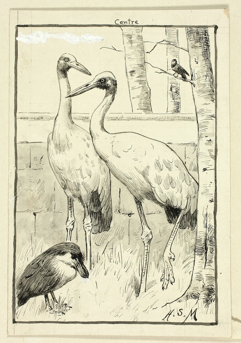 Four Birds in Landscape by Henry Stacy Marks, drawing, 1849-1898