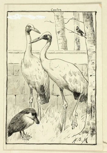 Four Birds in Landscape by Henry Stacy Marks, drawing, 1849-1898