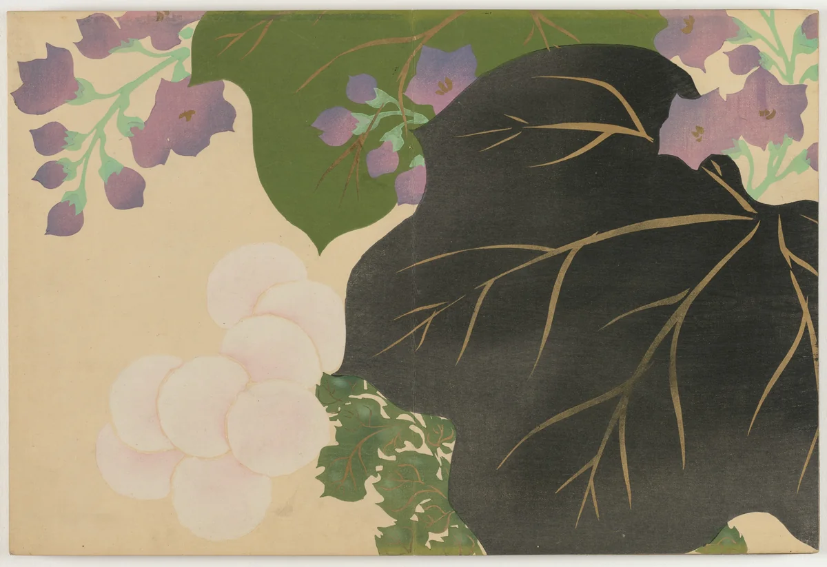 Flowers of a Hundred Worlds (Momoyogusa): Chrysanthemum and Paulownia (Kikukiri) by Kamisaka Sekka, book, 1909-1910
