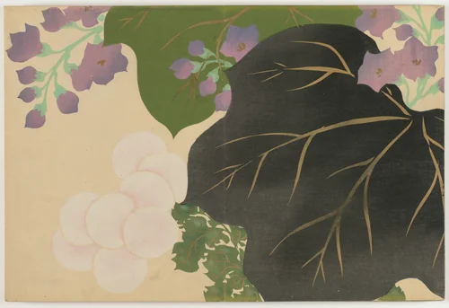 Flowers of a Hundred Worlds (Momoyogusa): Chrysanthemum and Paulownia (Kikukiri) by Kamisaka Sekka, book, 1909-1910