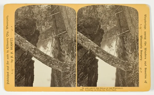 Looking out from the Navy Yard, No. 1053 from the series "In and About the Dells of the Wisconsin River" by Henry Hamilton Bennett, photograph, 1870-1908